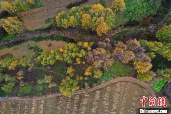 �����|����Ϫ�h��ɫ����